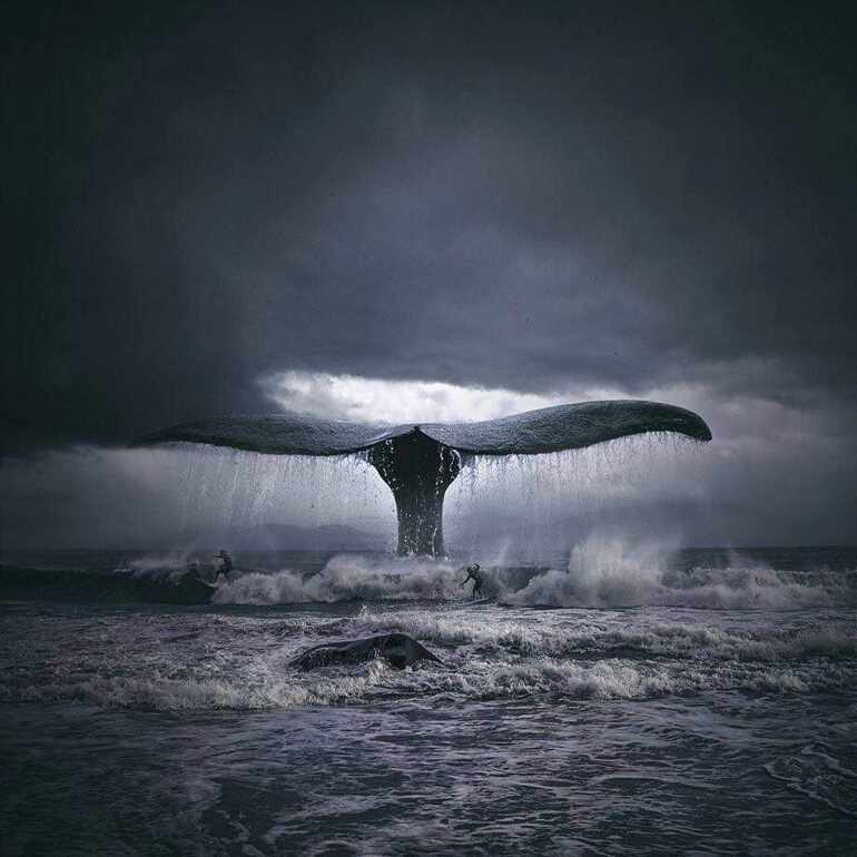 🐋  ► © Tomasz •