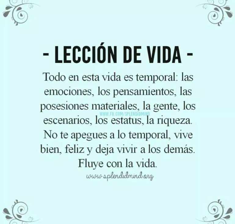 Vive