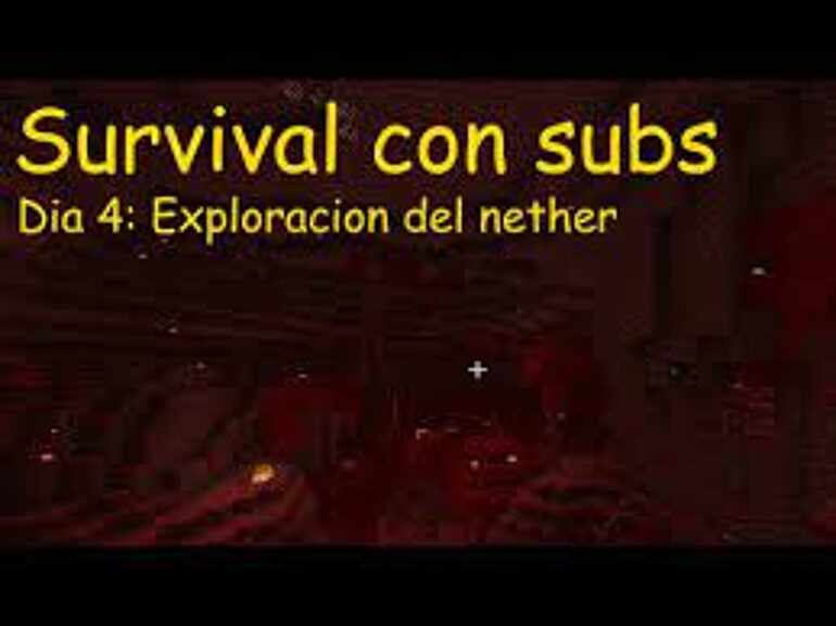 SURVIVAL DIA 4