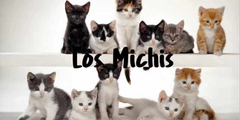 Los Michis