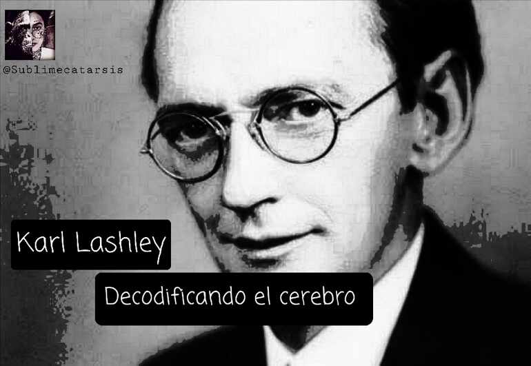 Karl Lashley. Decodificando el cerebro