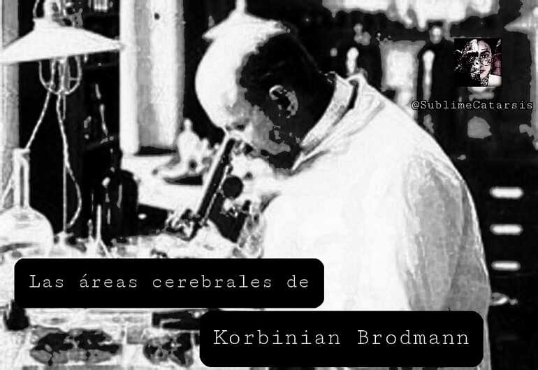 Las áreas cerebrales de Korbinian Brodmann.