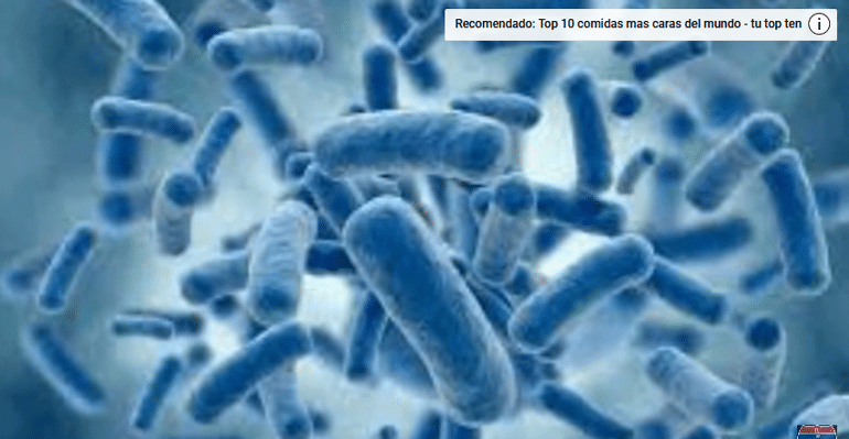 Top 7 bacterias mortales para los seres humanos