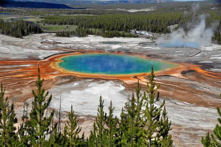 Encuentran a un hombre cocinando dos pollos en las aguas termales del parque Yellowstone