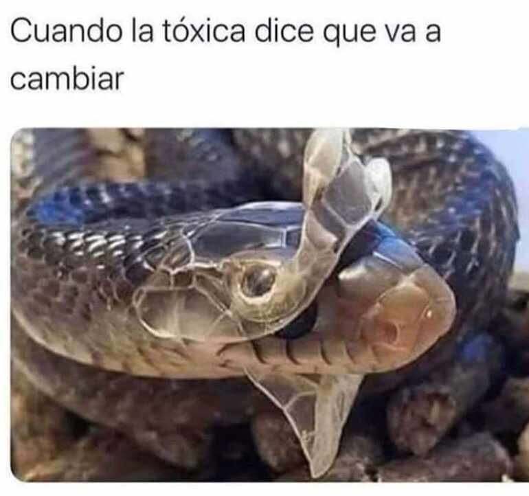 La toxica